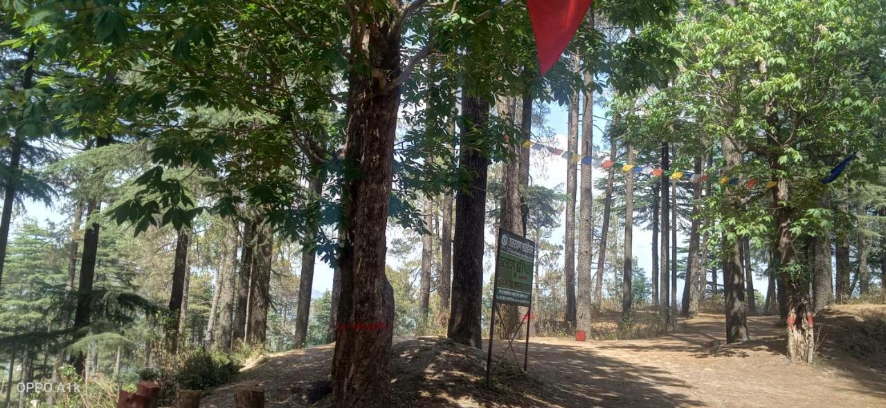 Evergreen Home Stay Almora Ngoại thất bức ảnh