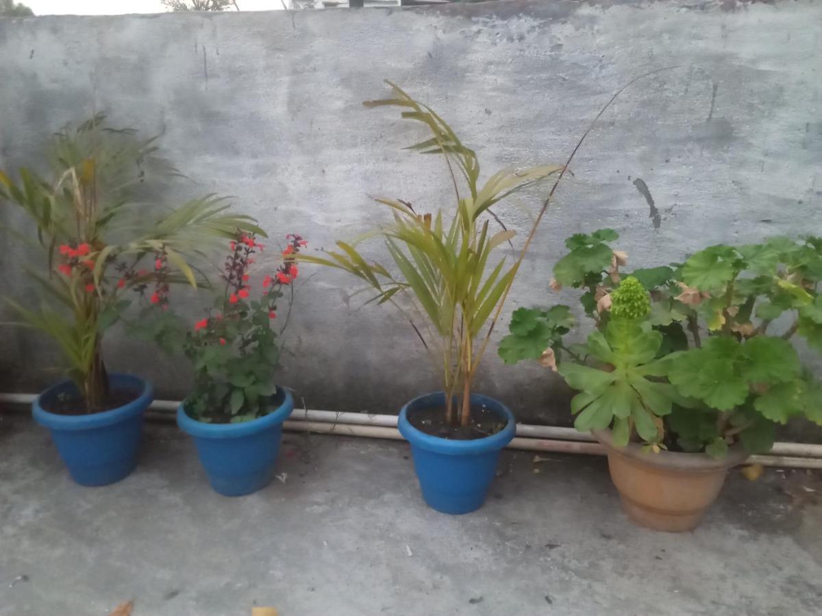 Evergreen Home Stay Almora Ngoại thất bức ảnh